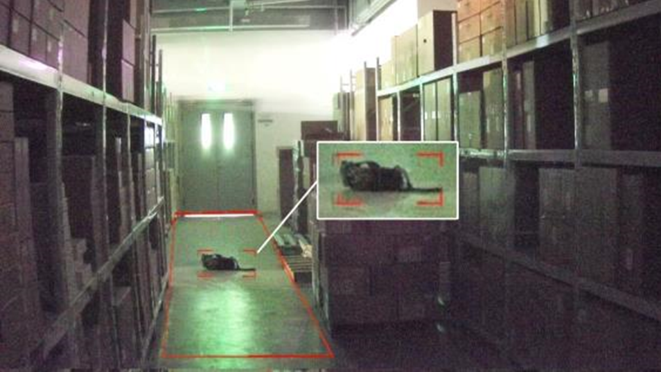 GA黄金甲·(中国集团)官方网站