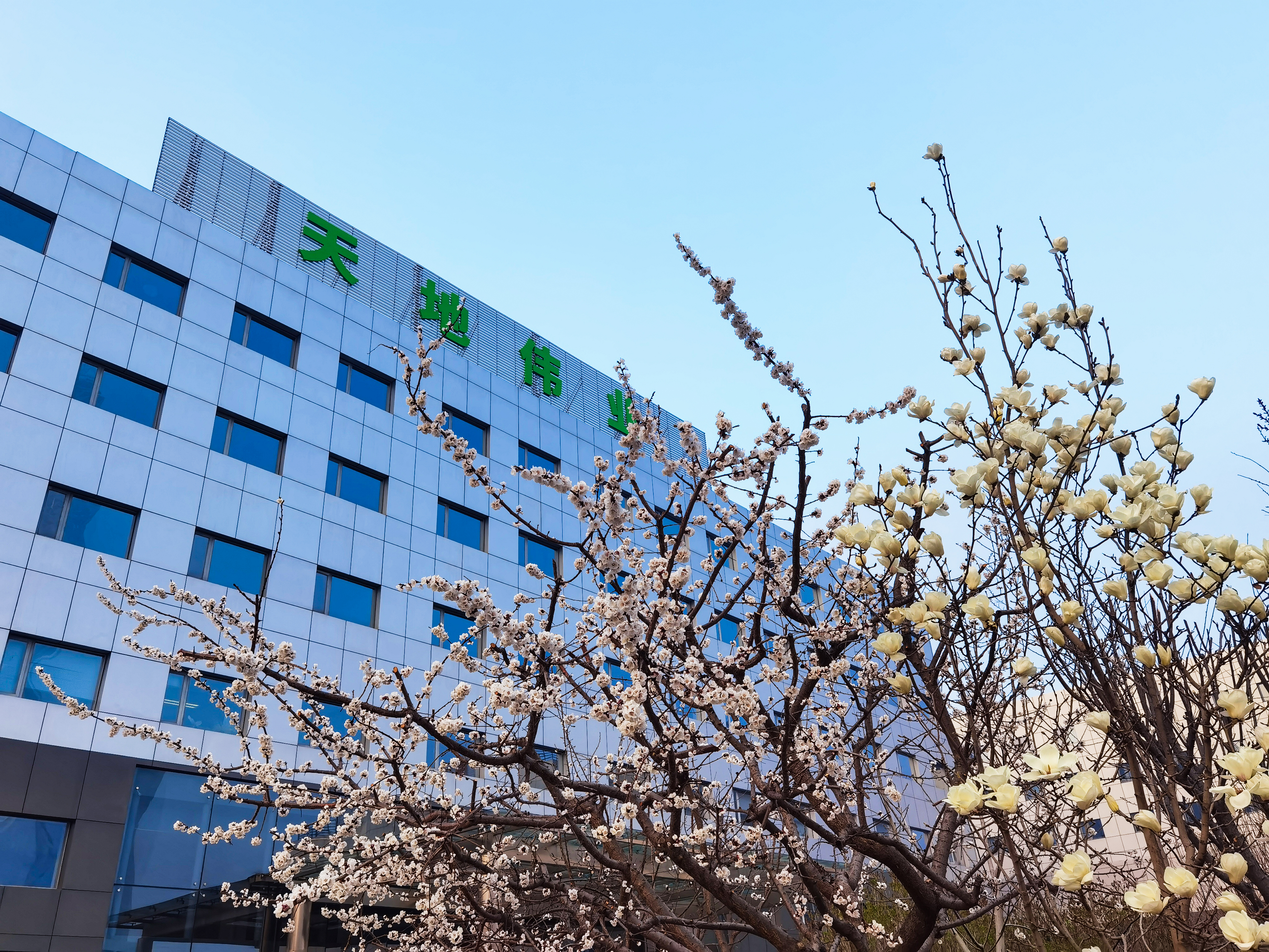 GA黄金甲·(中国集团)官方网站