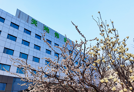 GA黄金甲·(中国集团)官方网站