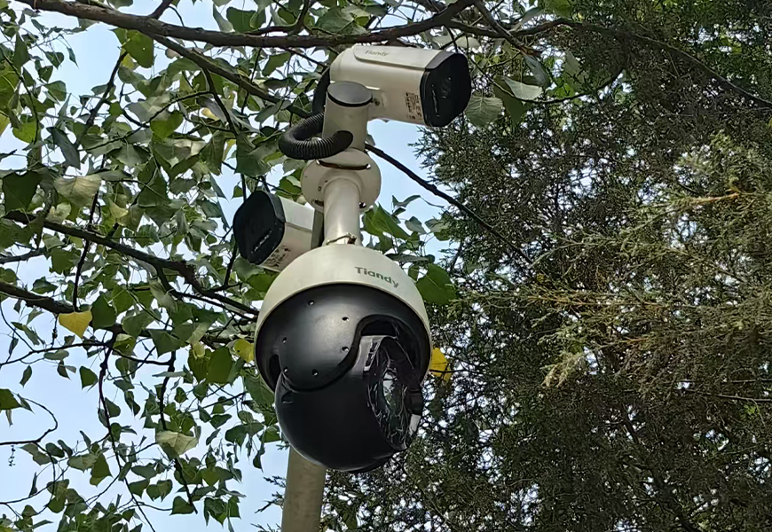 GA黄金甲·(中国集团)官方网站