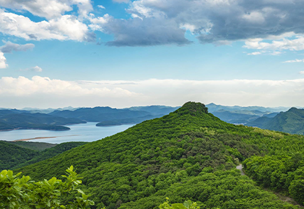 GA黄金甲·(中国集团)官方网站